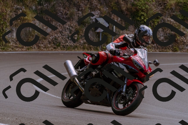 202506281257-_DSC1133_d1_