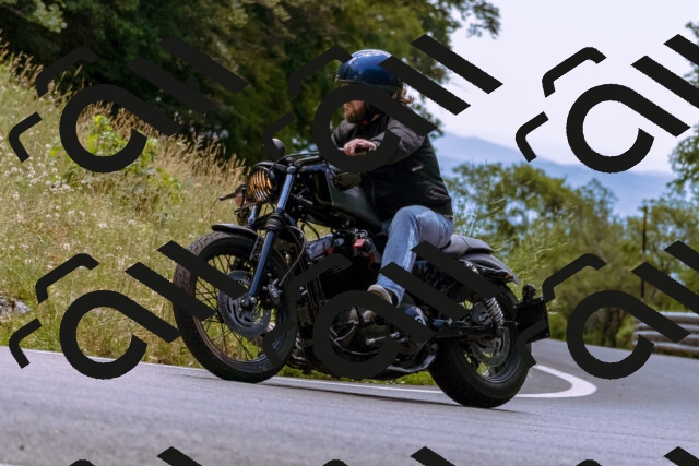 202506281301-_DSC1140_d1_