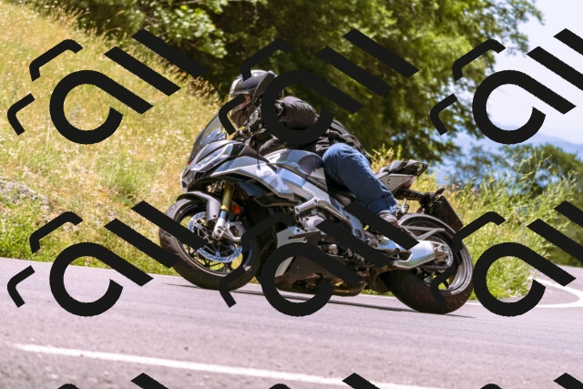 202506281302-_DSC1143_d1_