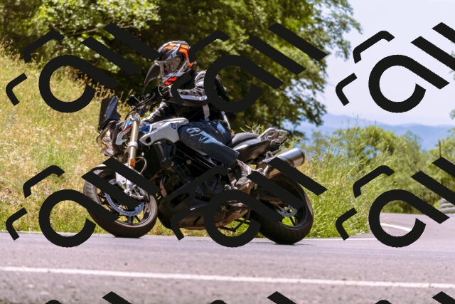 202506281304-_DSC1152_d1_