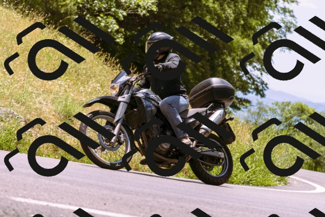 202506281306-_DSC1165_d1_