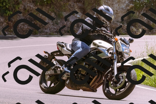 202506281317-_DSC1175_d1_