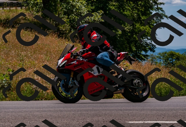 202506281347-DSC_4330_d2_