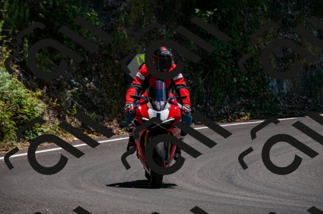 202506281348-DSC_4336_d2_