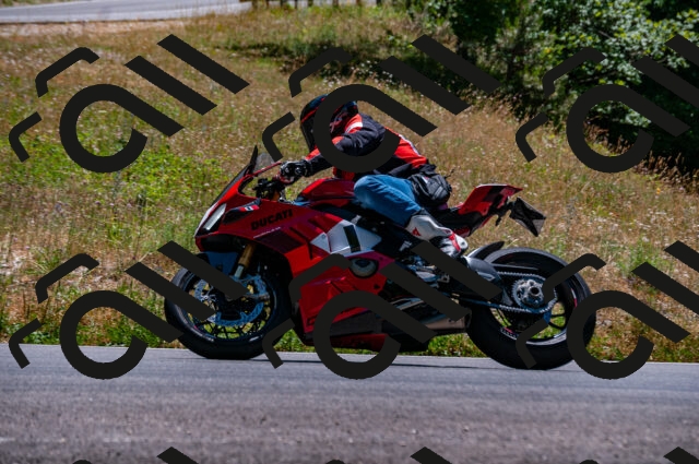 202506281349-DSC_4344_d2_