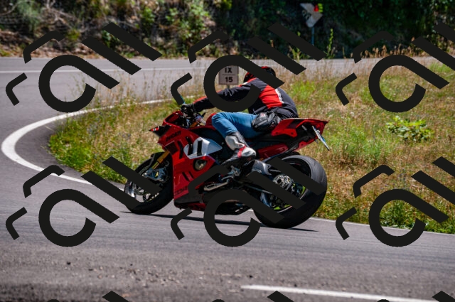 202506281349-DSC_4346_d2_