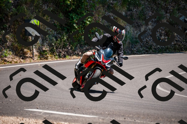 202506281359-DSC_4356_d2_