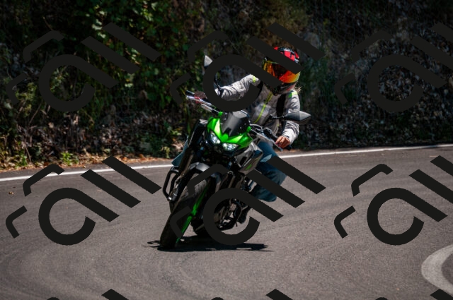 202506281359-DSC_4358_d2_