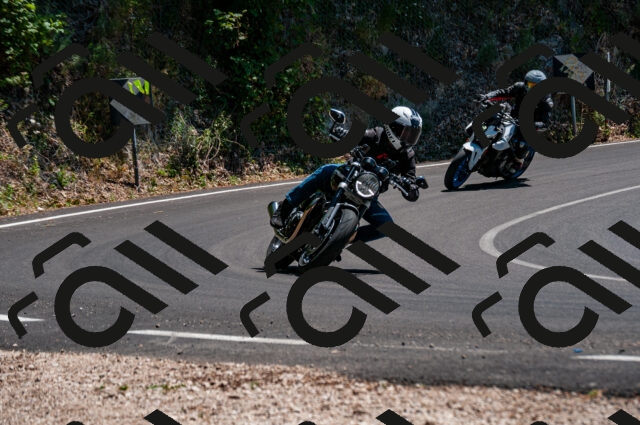 202506281413-DSC_4390_d2_