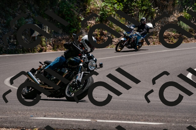 202506281413-DSC_4391_d2_