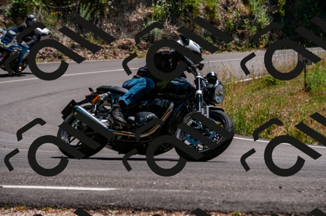 202506281413-DSC_4392_d2_