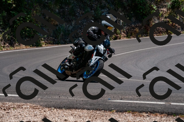 202506281413-DSC_4393_d2_