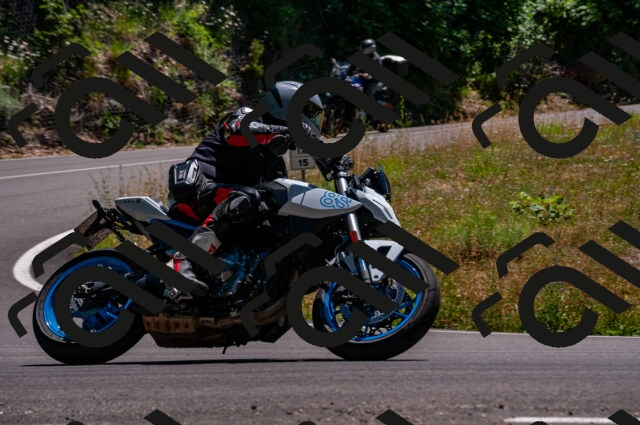 202506281413-DSC_4395_d2_