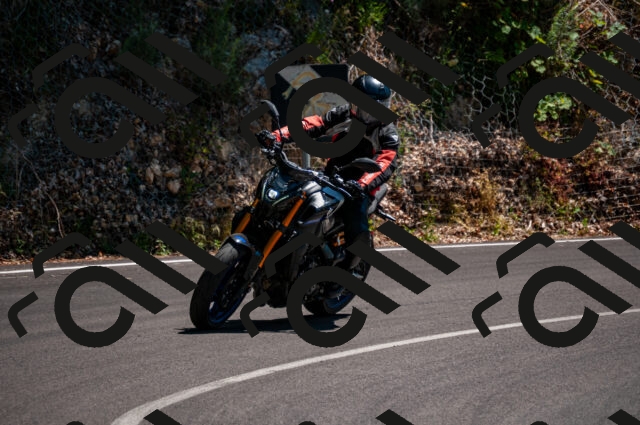 202506281428-DSC_4441_d2_