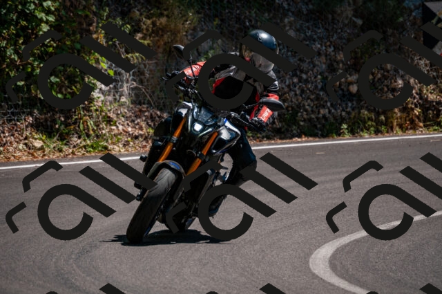 202506281428-DSC_4442_d2_