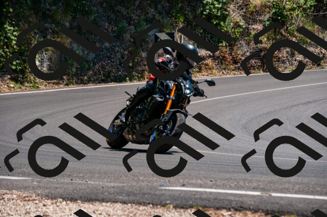 202506281428-DSC_4443_d2_