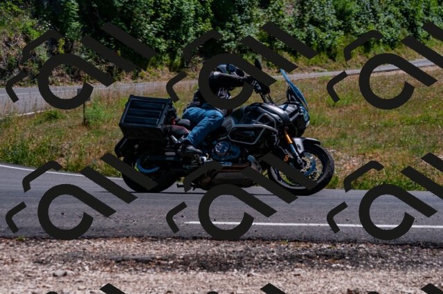 202506281446-DSC_4474_d2_