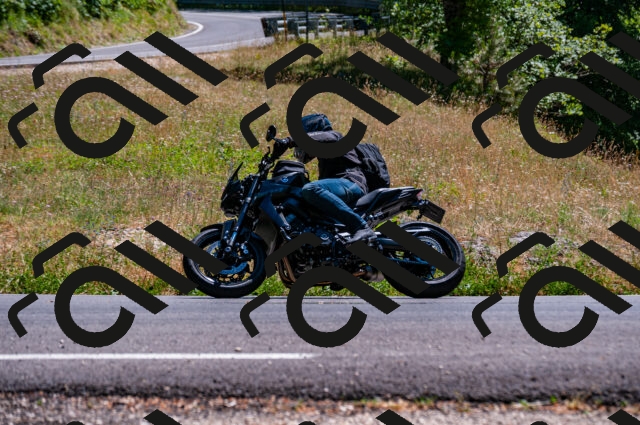 202506281449-DSC_4488_d2_