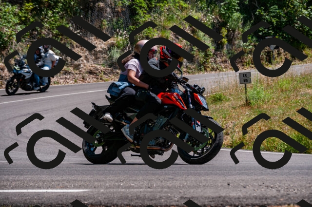 202506281452-DSC_4500_d2_