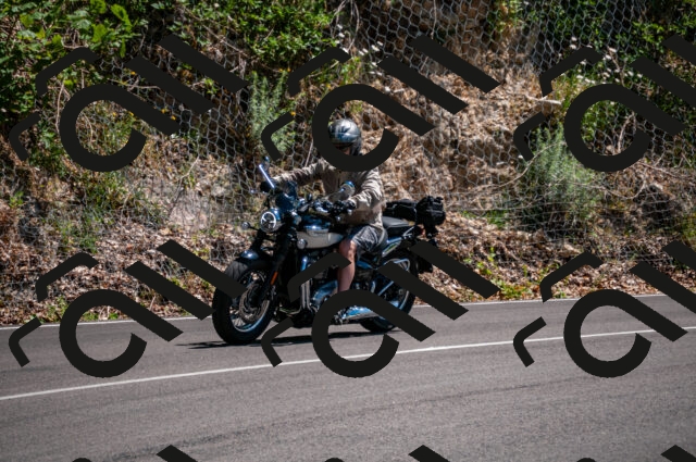 202506281455-DSC_4532_d2_