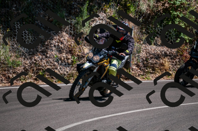 202506281502-DSC_4559_d2_