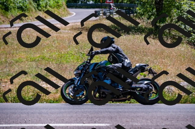 202506281502-DSC_4577_d2_