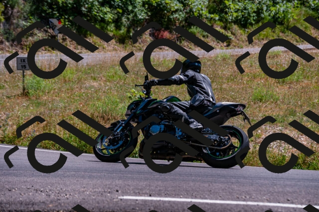 202506281502-DSC_4578_d2_