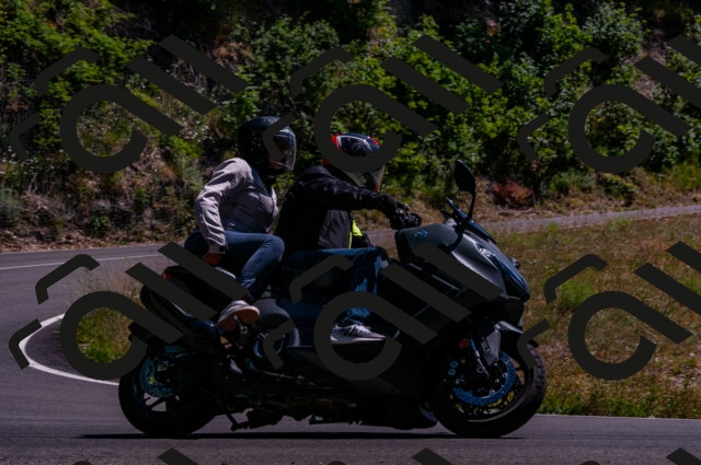 202506281506-DSC_4600_d2_