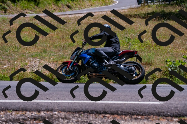 202506281508-DSC_4615_d2_