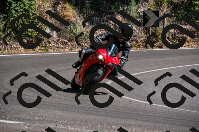 202506281509-DSC_4619_d2_