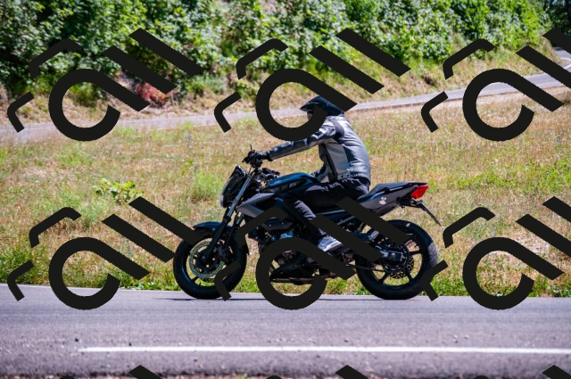 202506281522-DSC_4642_d2_