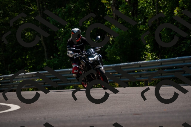 202506281533-DSC_4667_d2_