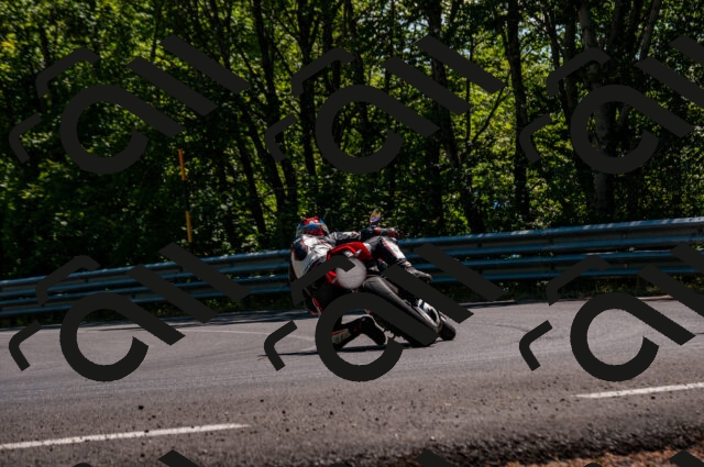 202506281538-DSC_4734_d2_