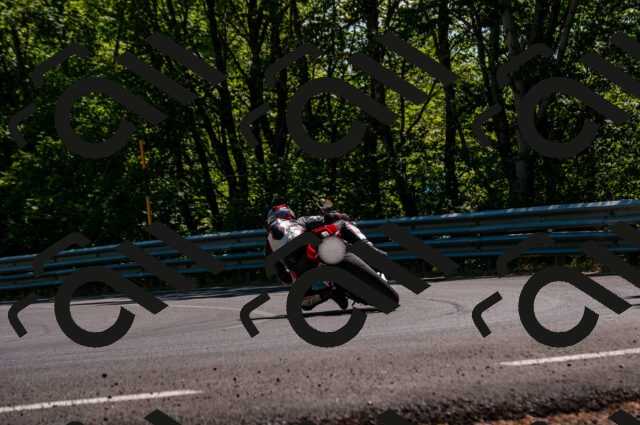 202506281538-DSC_4735_d2_