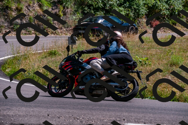 202506281539-DSC_4742_d2_