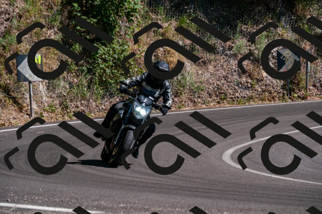 202506281555-DSC_4810_d2_