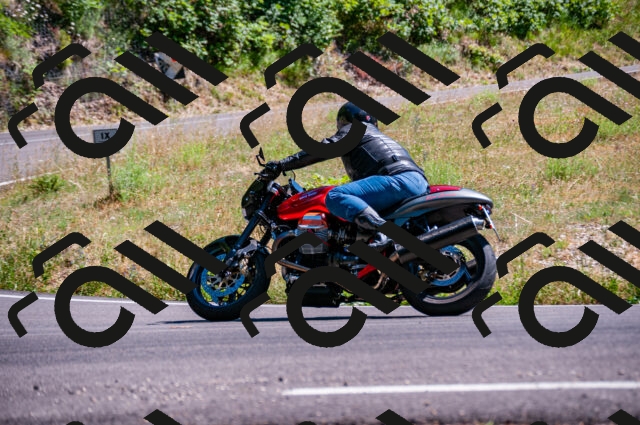 202506281555-DSC_4816_d2_