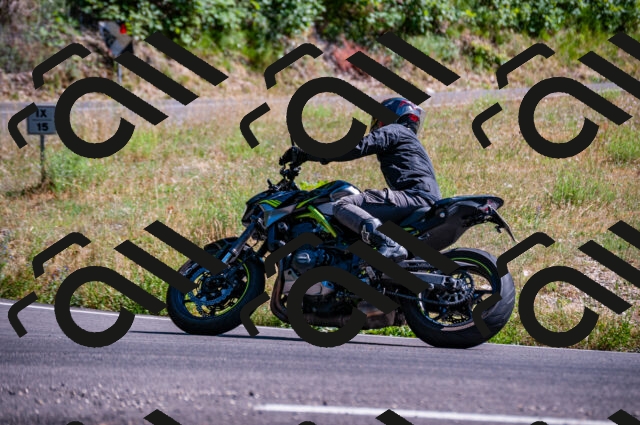 202506281619-DSC_4885_d2_