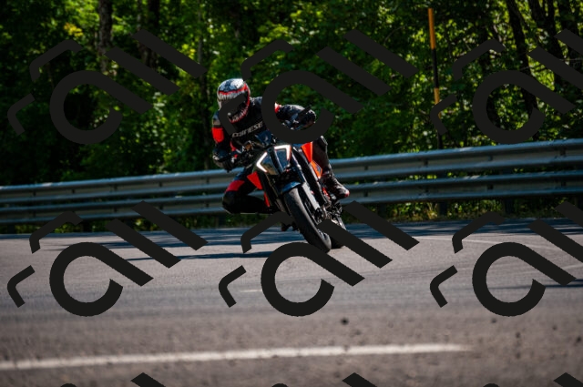 202506281619-DSC_4890_d2_