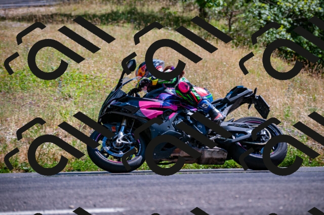 202506281629-DSC_4952_d2_