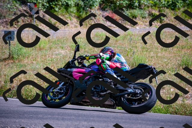 202506281629-DSC_4953_d2_