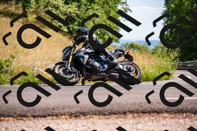 202506281630-DSC_4984_d2_