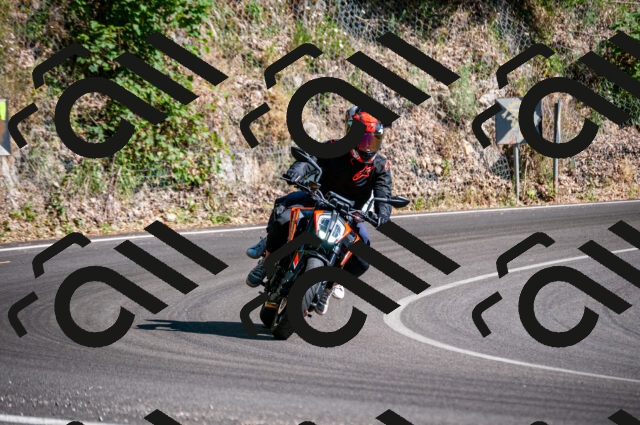 202506281649-DSC_5050_d2_