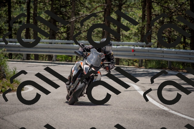 202506281302-DSC_5585_c4_