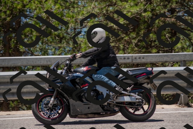 202506281302-DSC_5590_c4_