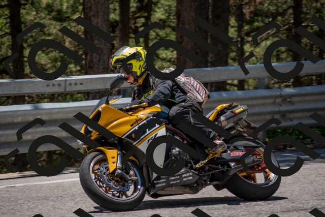 202506281302-DSC_5593_c4_