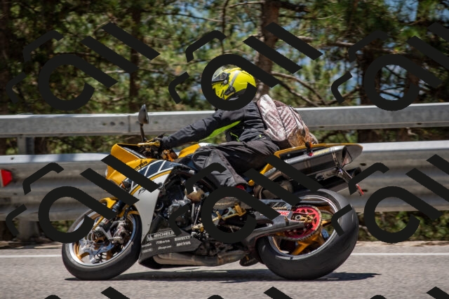 202506281303-DSC_5594_c4_