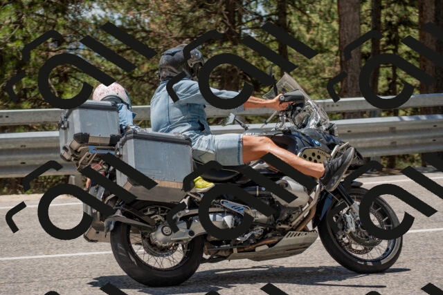 202506281303-DSC_5597_c4_