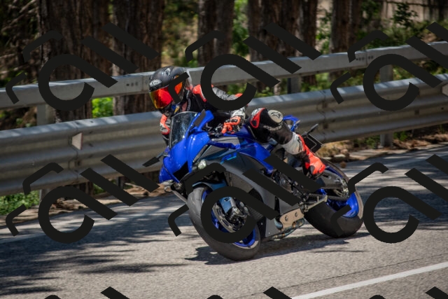 202506281306-DSC_5598_c4_