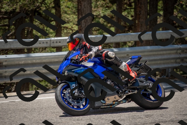 202506281306-DSC_5599_c4_